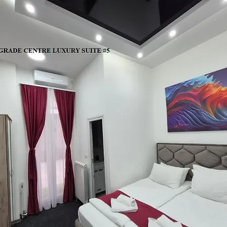 בית הארחה Authentic Centre With Patios In Courtyard For Smokers בלגרד